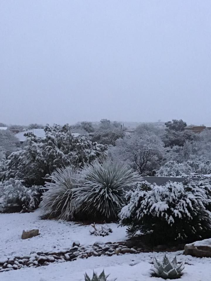 Snow in east ÃÛèÖÖ±²¥